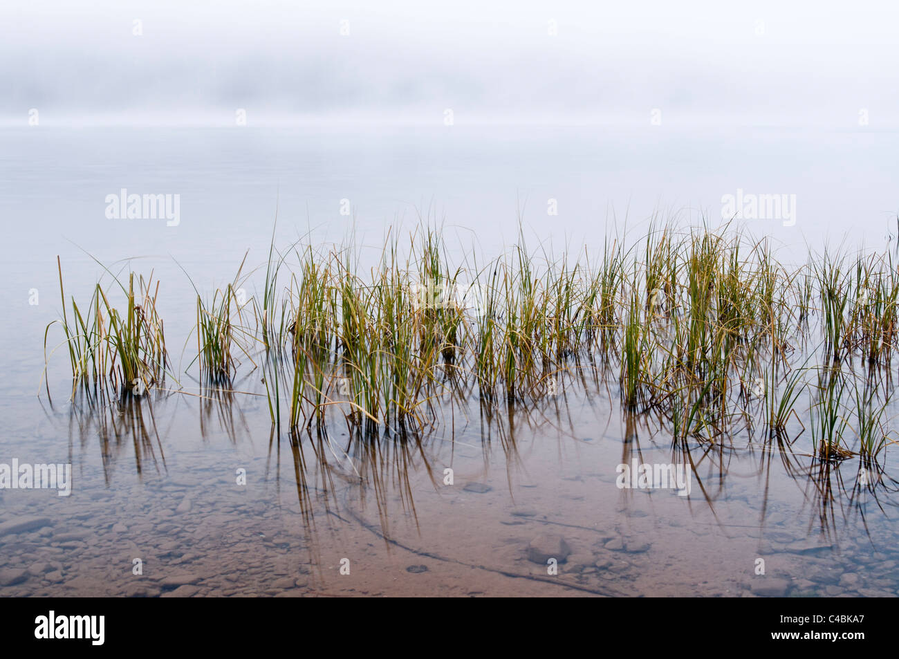 Morgennebel am See Alva, Seeley Swan Valley von Montana. Stockfoto