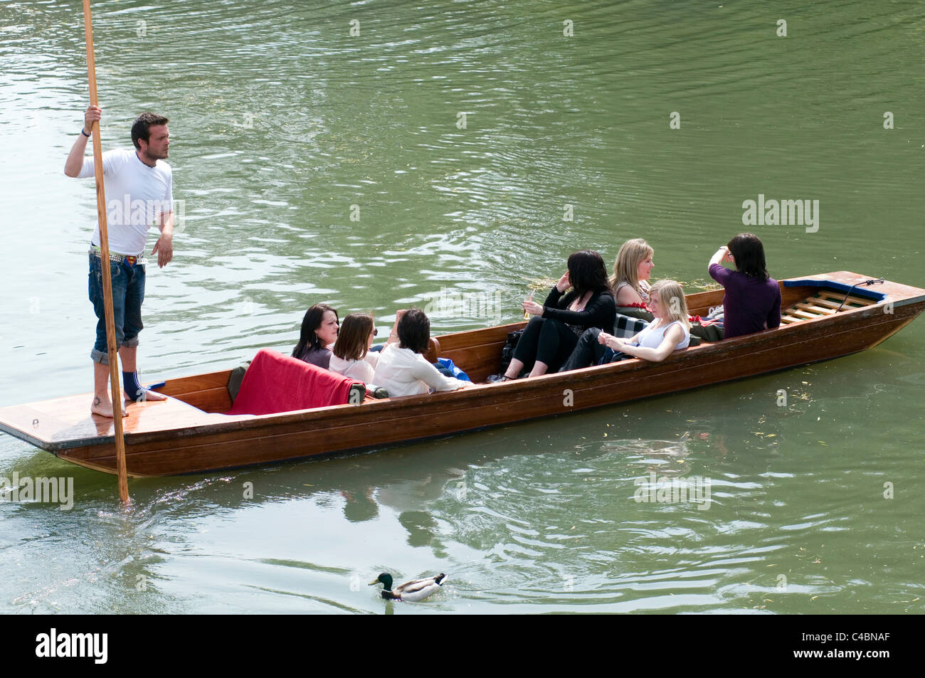 Punt Punts punting Cambridge Boot Bootfahren Reise Reisen traditionellen touristischen Touristen Aktivität Studenten Jobs Studenten Arbeitsverhältnis Stockfoto