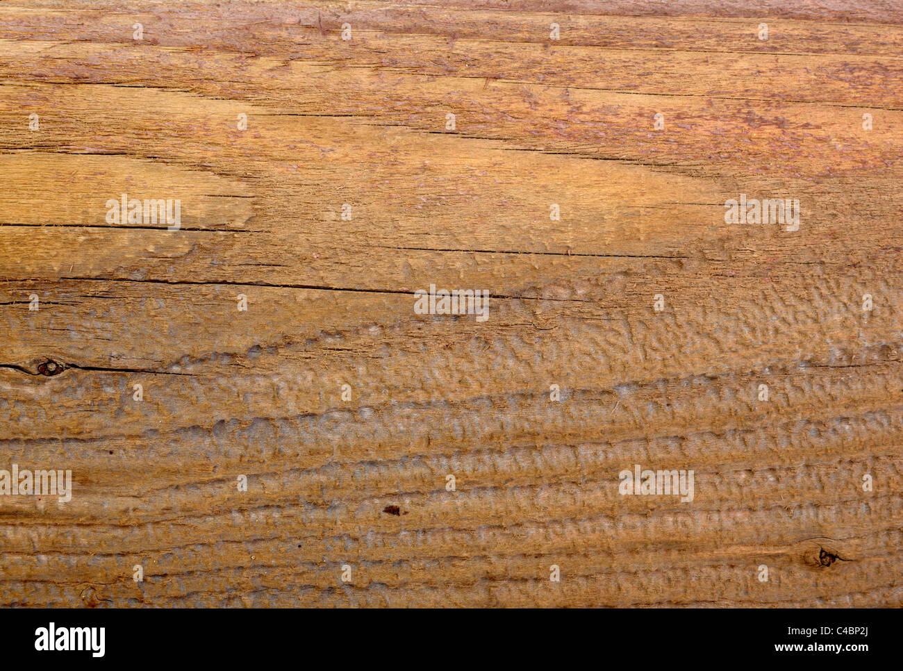 Holz- Hintergrund Stockfoto