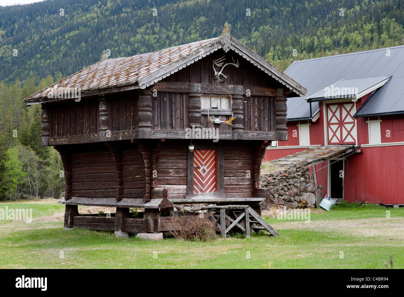 Traditionelle landwirtschaftliche Gebäude in der Tessungdalen-Pass, Telemark, Norwegen Stockfoto