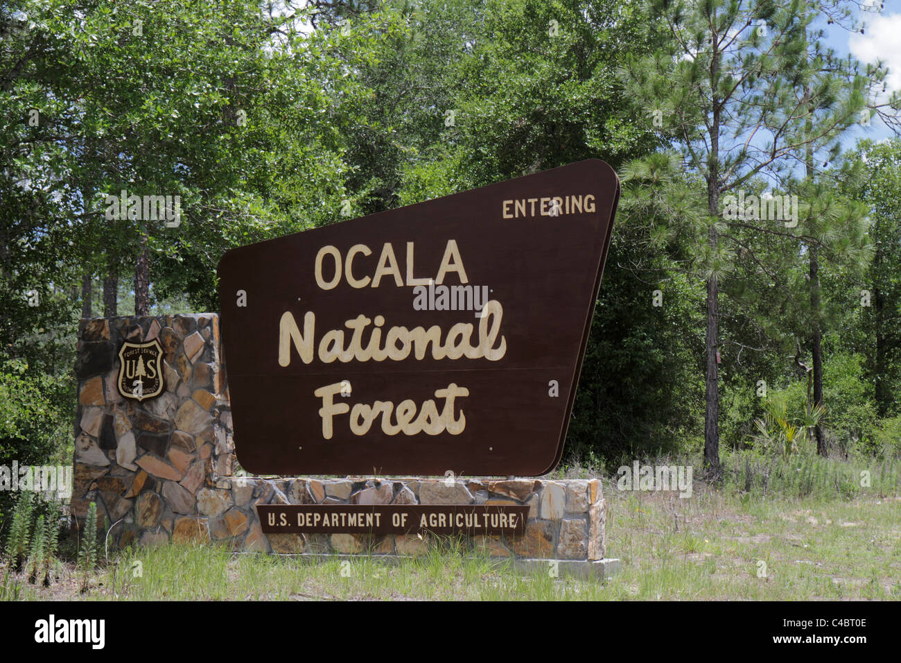 Florida Weirsdale, Ocala National Forest, Eingang, Schild, Logo, Highway 42, Besucher reisen Reise Tour Tourismus Wahrzeichen Kultur Kultur Stockfoto