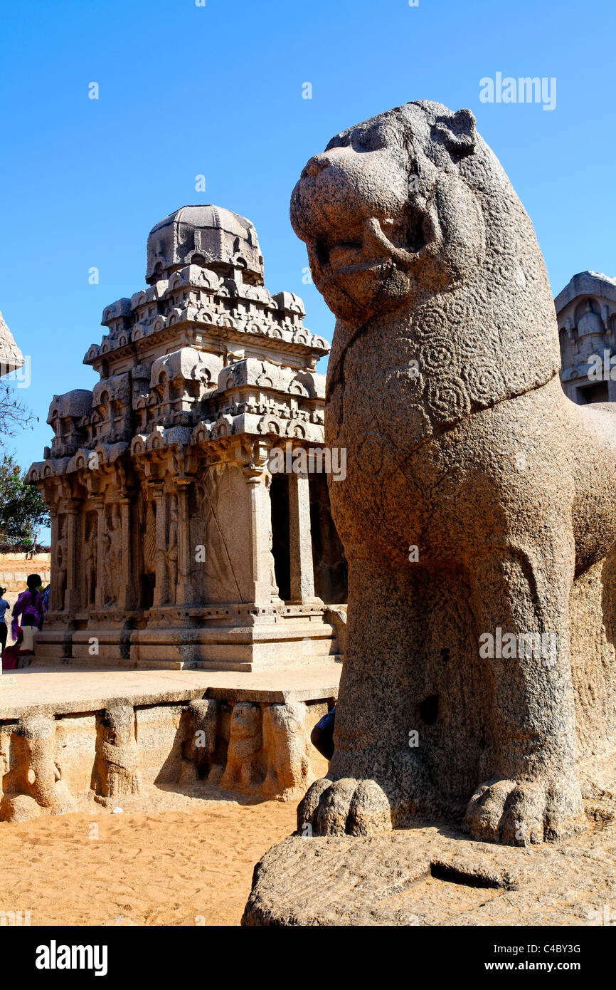 Indien - Tamil Nadu - Mamallapuram - Löwenstatue am Pancha Pandava Rathas Stockfoto