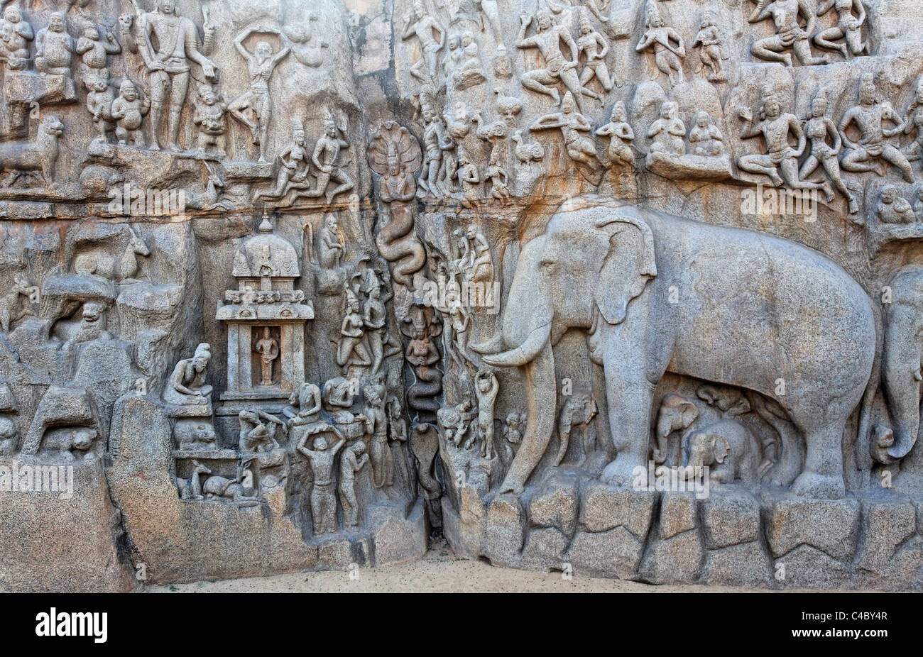 Indien - Tamil Nadu - Mamallapuram - Elefant Skulptur an die Buße von Arjuna Stockfoto