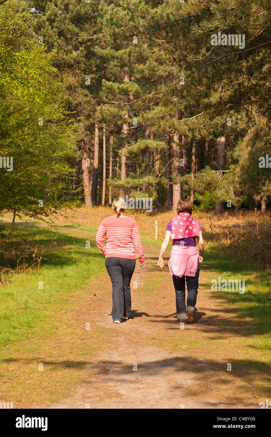 Zwei Frauen in den Dreißigern, Wandern in den Wäldern bei Westleton Heath, Suffolk, England, Großbritannien, Uk Stockfoto