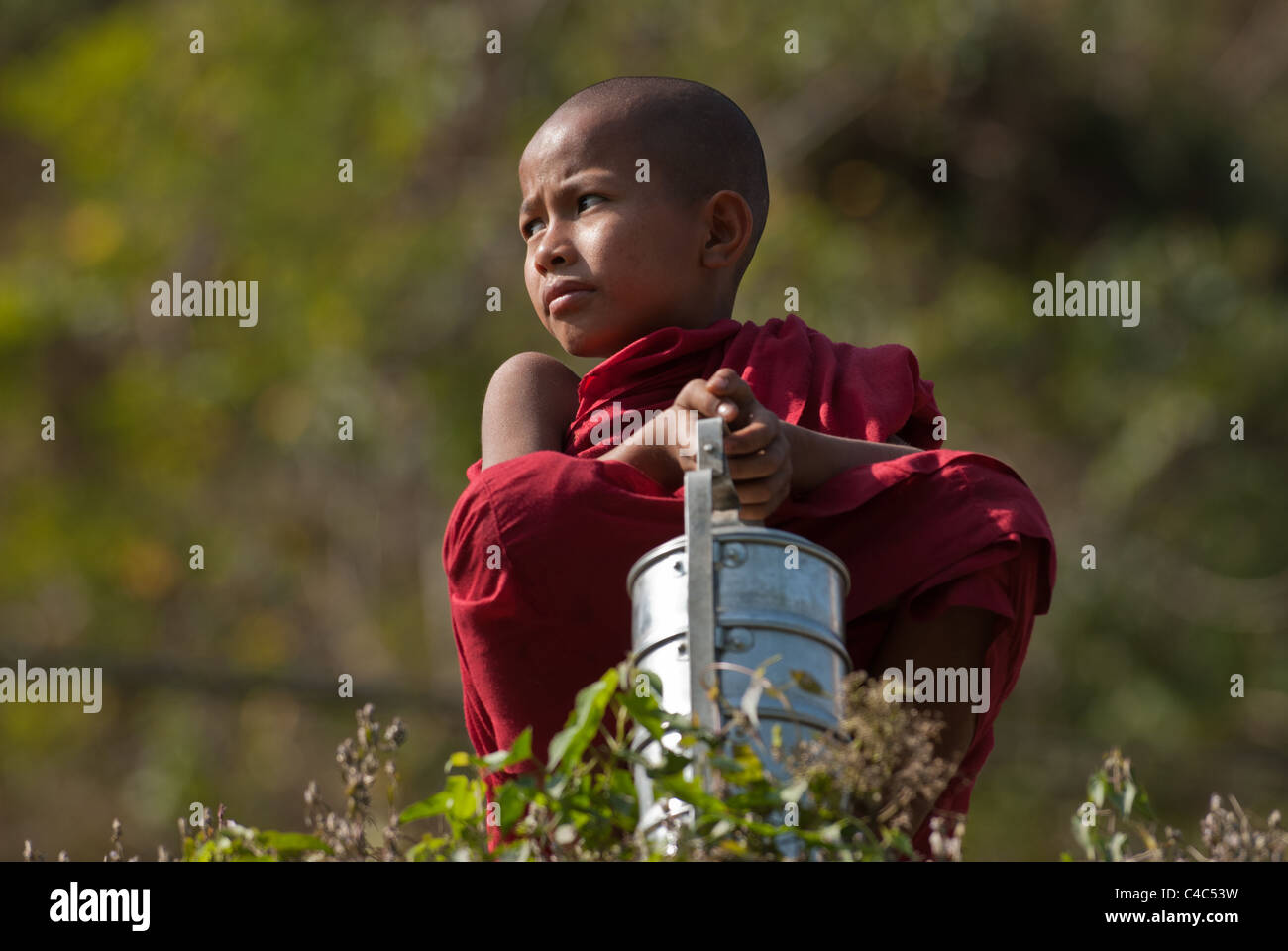 Novize mit Tiffin Träger Norden Myanmars Stockfoto