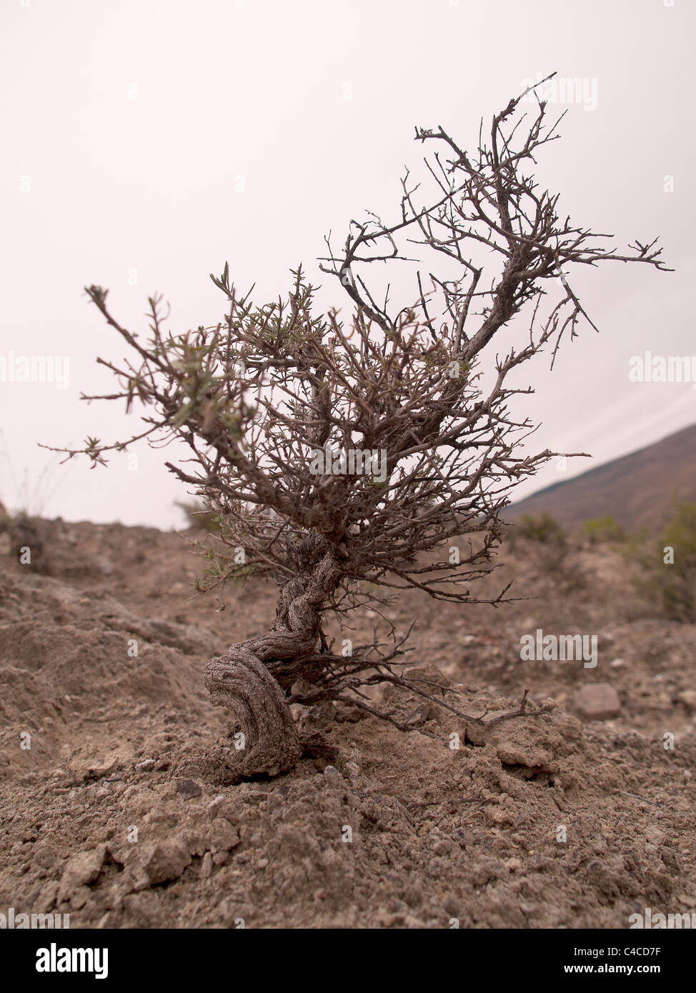 Trockene Landschaft von Dürre. La Rioja, Spanien. Stockfoto