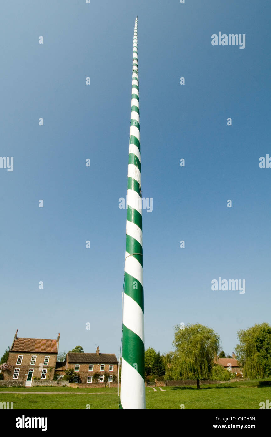 englische Maibaum Maibaum Polen Maistange Dorf grüne british Day Feierlichkeiten Stockfoto