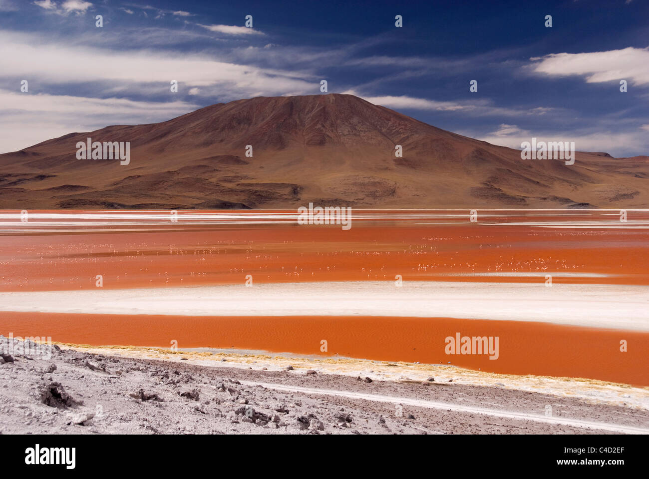 Bolivien, Altiplano S des Salar de Uyuni, Laguna Colorado Seenlandschaft Stockfoto