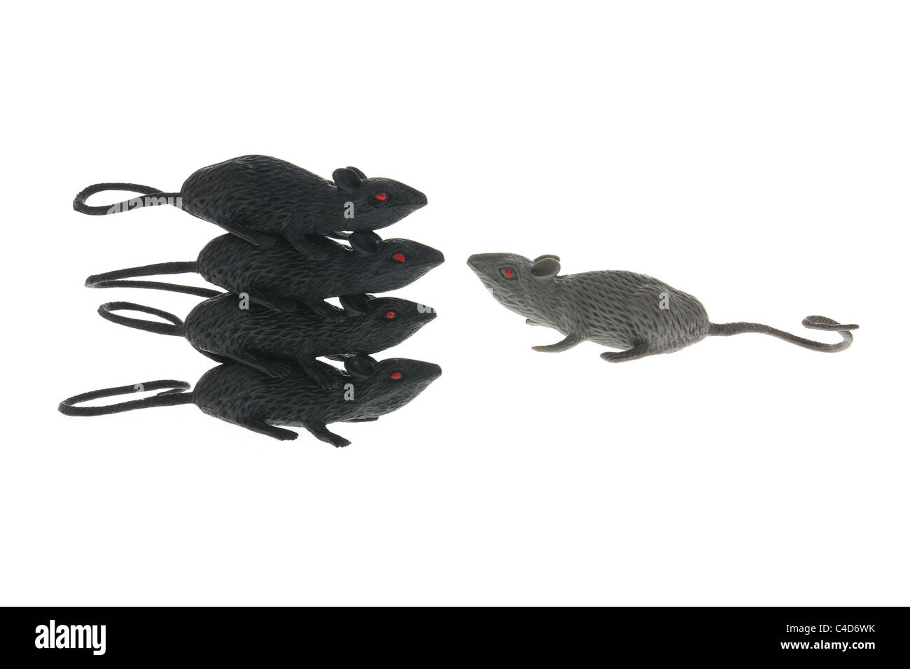 Spielzeug-Ratten Stockfoto