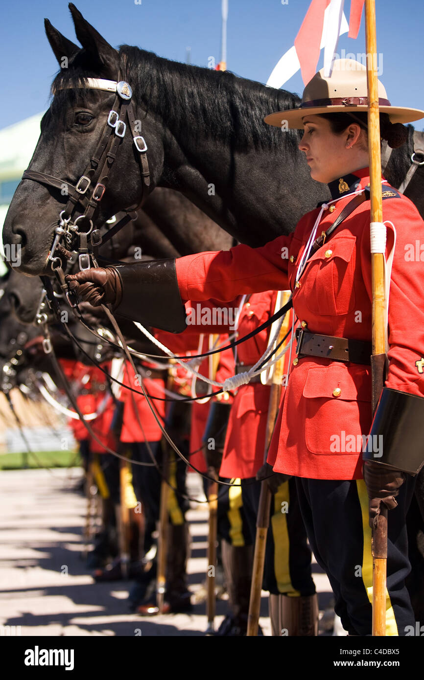 Mai 2011, Ottawa Ontario Kanada. Bilder von der Royal Canadian Mounted Police Musical Ride Kommissaren zu überprüfen. Stockfoto