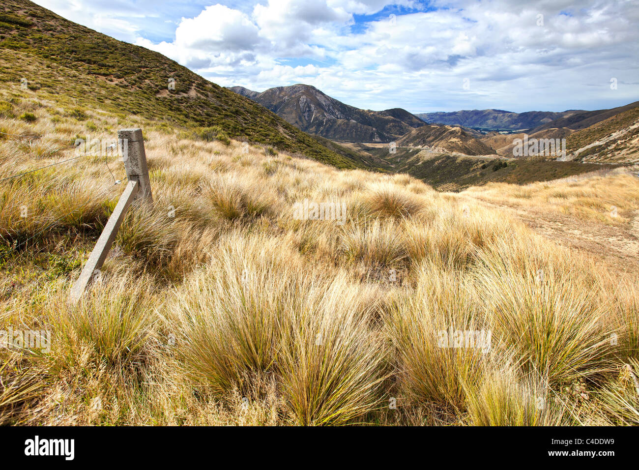 Bergige Landschaft auf der Nordinsel Neuseelands Stockfoto