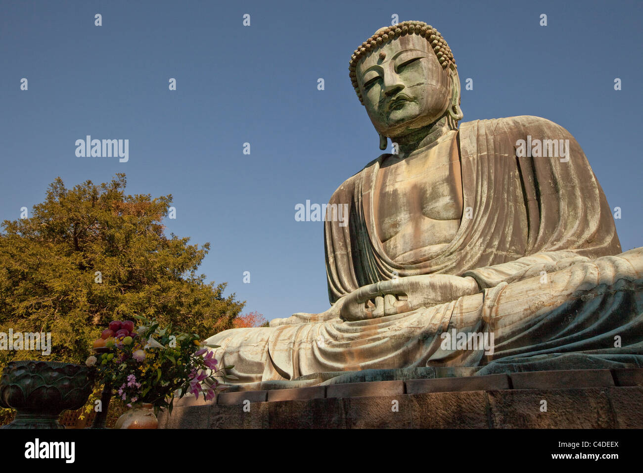 Daibutsu (großer Buddha) Statue bei Kotoku-in Tempel, Kamakura, Kanagawa, Japan. Stockfoto