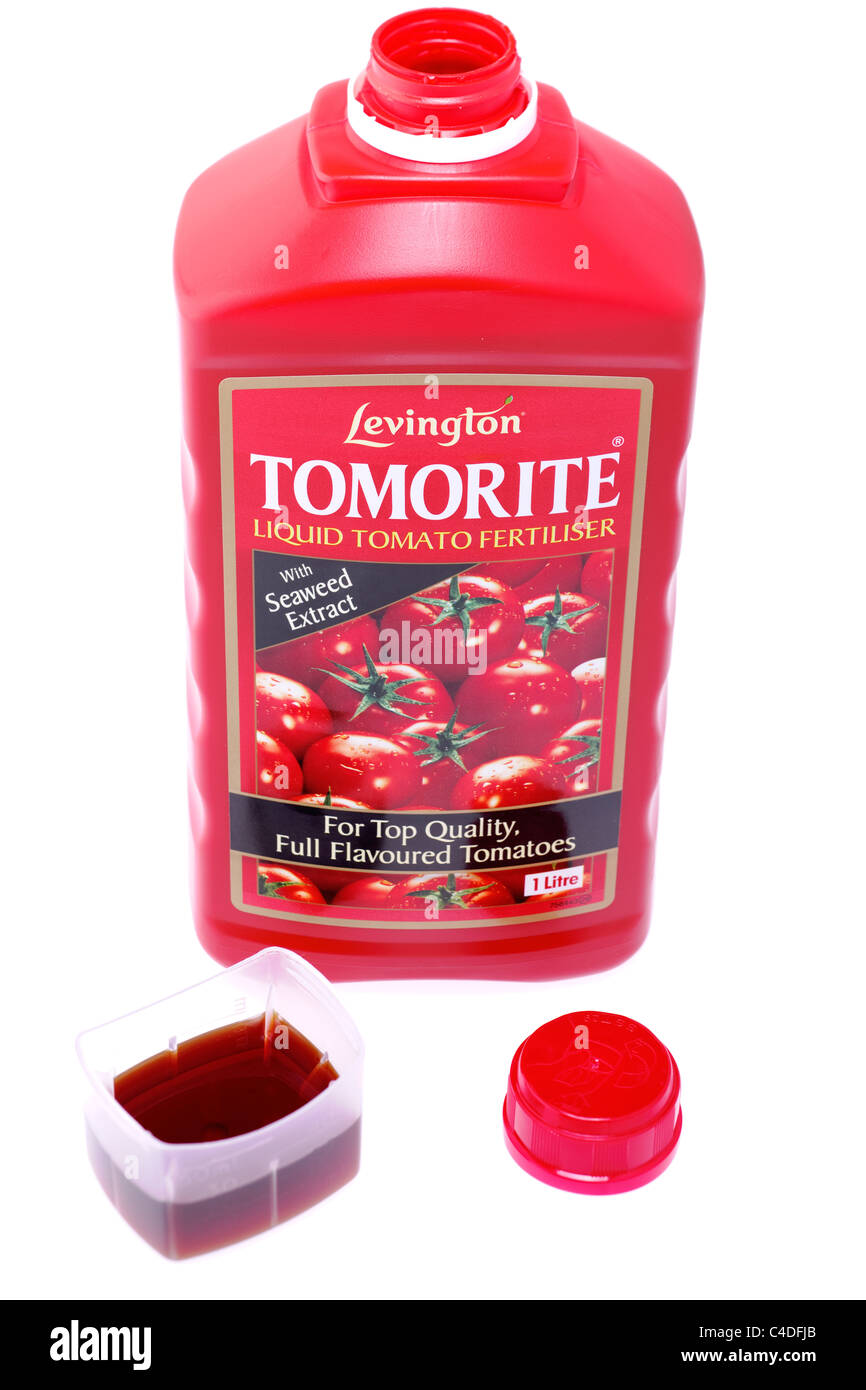 30ml Maß Levington Tomorite flüssige Tomaten Dünger und 1 Liter offenen Flasche Stockfoto