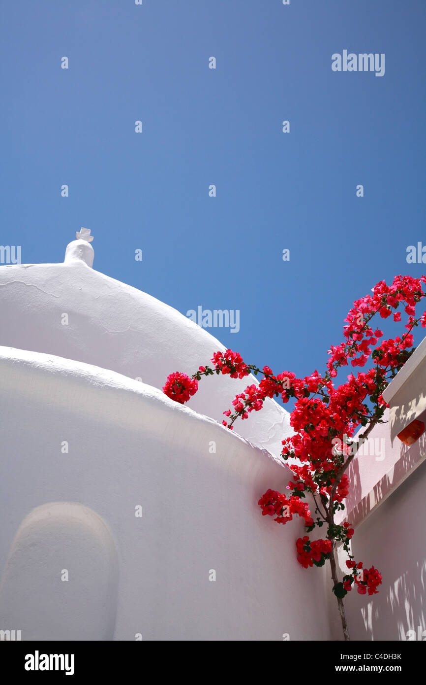 Griechisch-orthodoxe Kirche und Bougainvillea Busch Griechenland Stockfoto