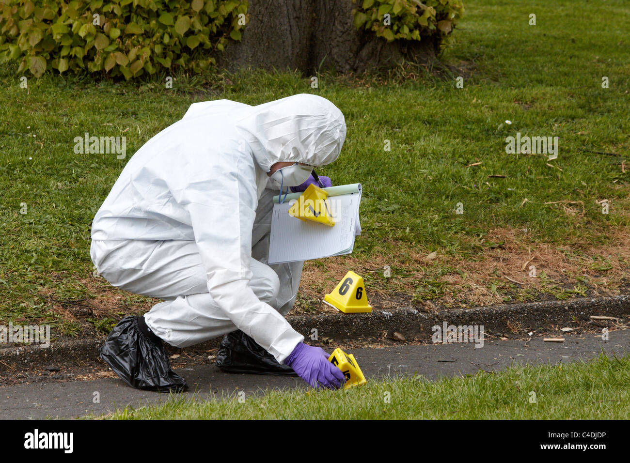 Polizei forensischen und Suche Offiziere bei der Szene von einem tödlichen Schüssen in Clapham Park Gegend von London Stockfoto