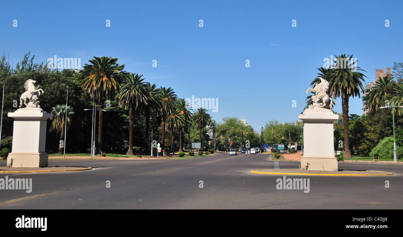 Blauer Himmel Blick Palmen und zwei Marmor Pferde auf hohen Sockeln, Avenida Libertador General San Martin Park, Mendoza, Argentinien Stockfoto