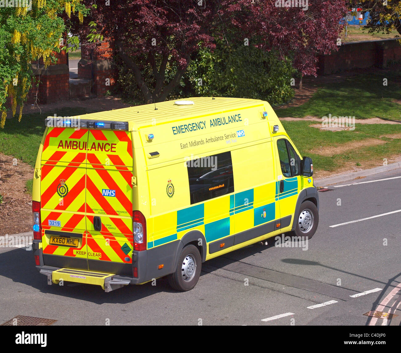 OLYMPUS DIGITALKAMERA Stockfoto