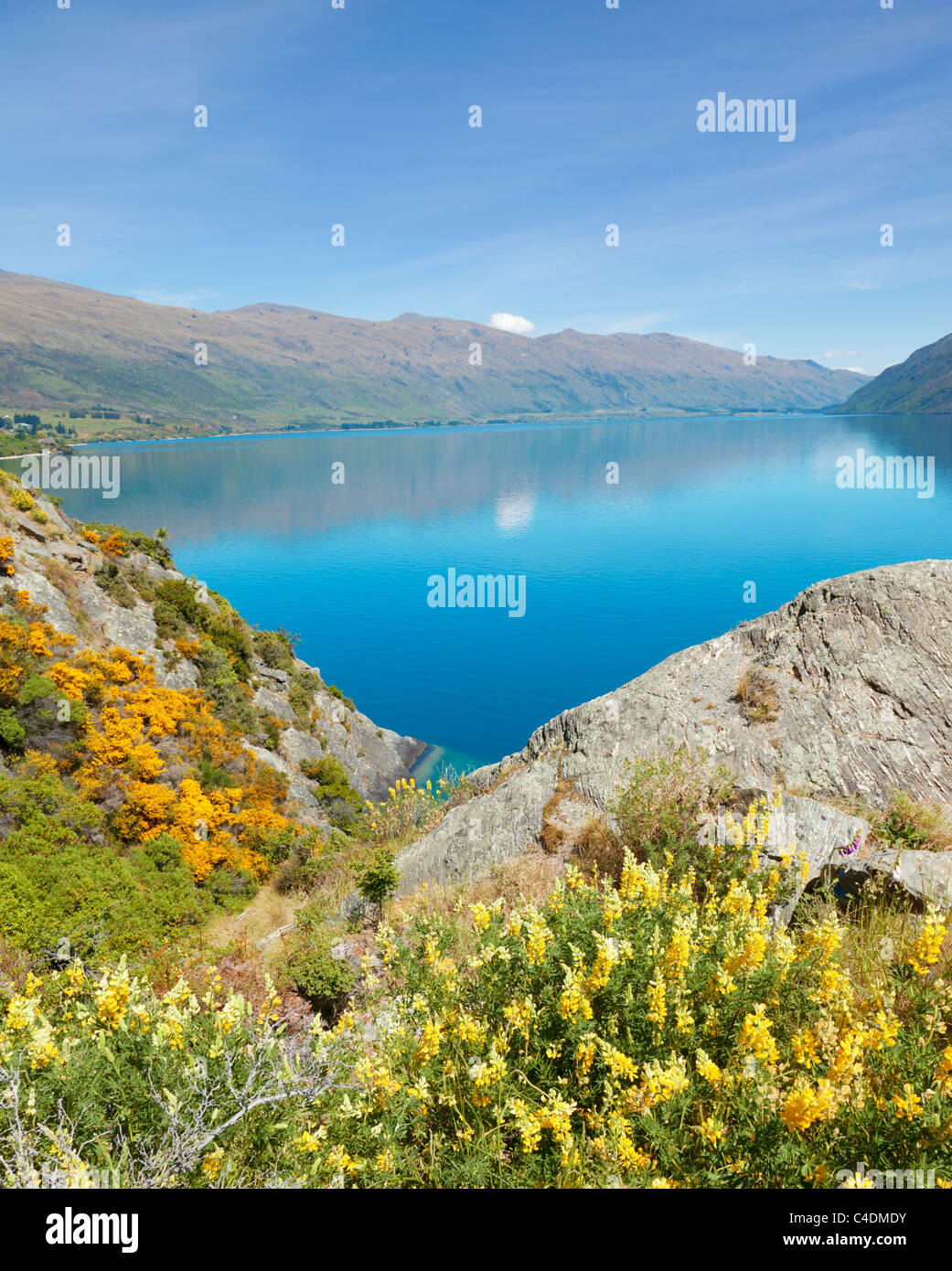 Lake Wakatipu in Neuseeland Stockfoto