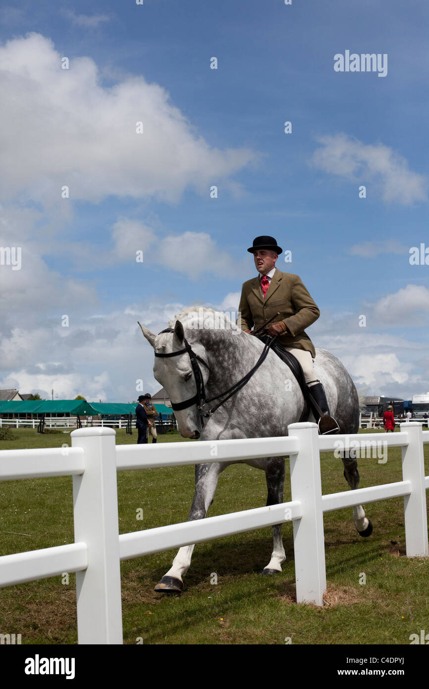 Schwere Jäger reiten Veranstaltungen an der 2011 Royal Cornwall Showground Veranstaltungen & Exponate, Wadebridge, Grafschaft Cornwall, UK Stockfoto