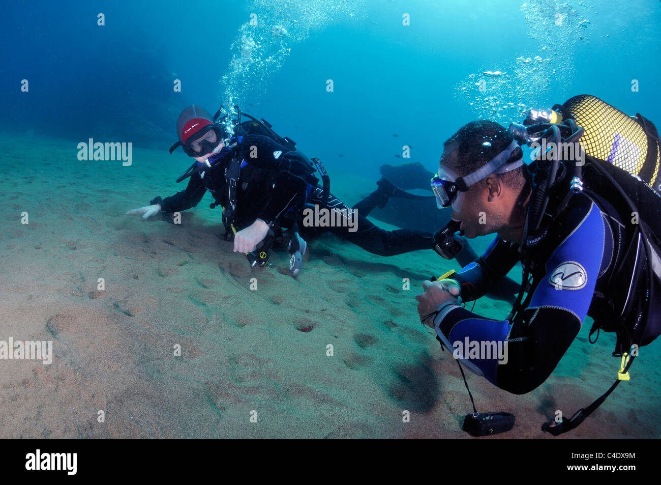 Taucher auf dem sandigen Meeresboden, blaues Wasser Stockfoto