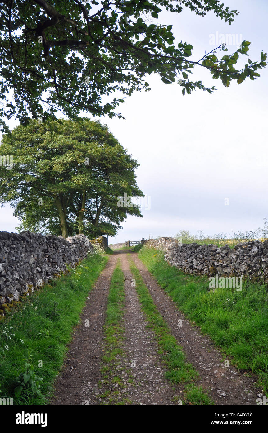 Tideswell, Derybshire, England: traditionellen Trockenmauern und Wege Stockfoto