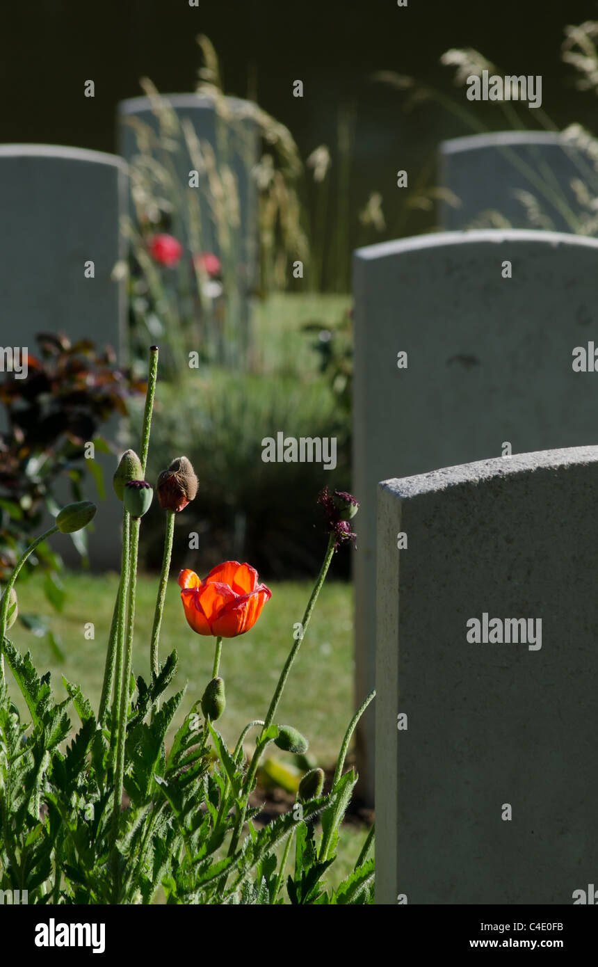 Britischen und Commonwealth-Kriegsgräber in Wälle Friedhof, Ypern Stockfoto