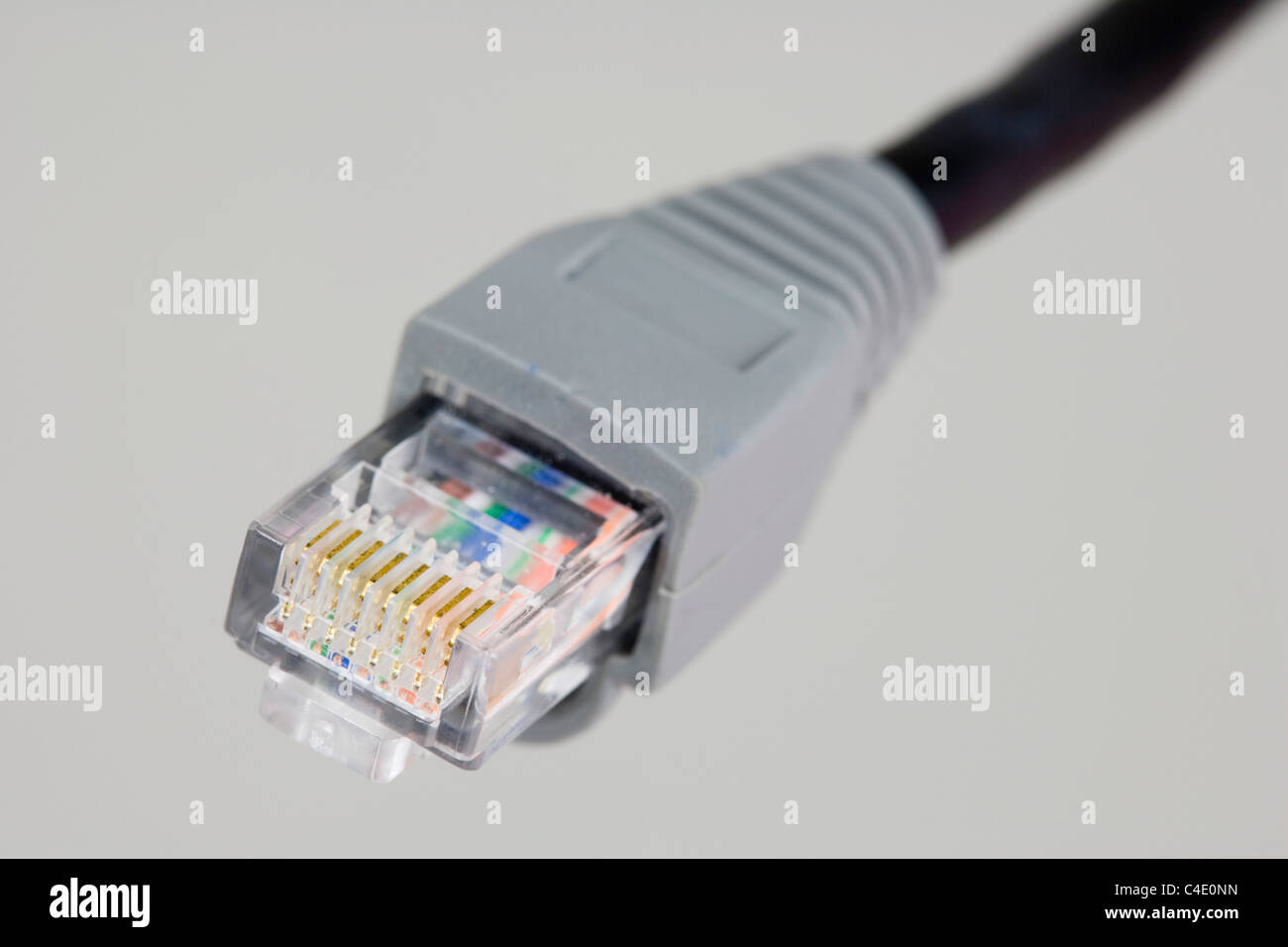 RJ-45 Ethernet-Anschluss auf weißem Hintergrund Stockfoto