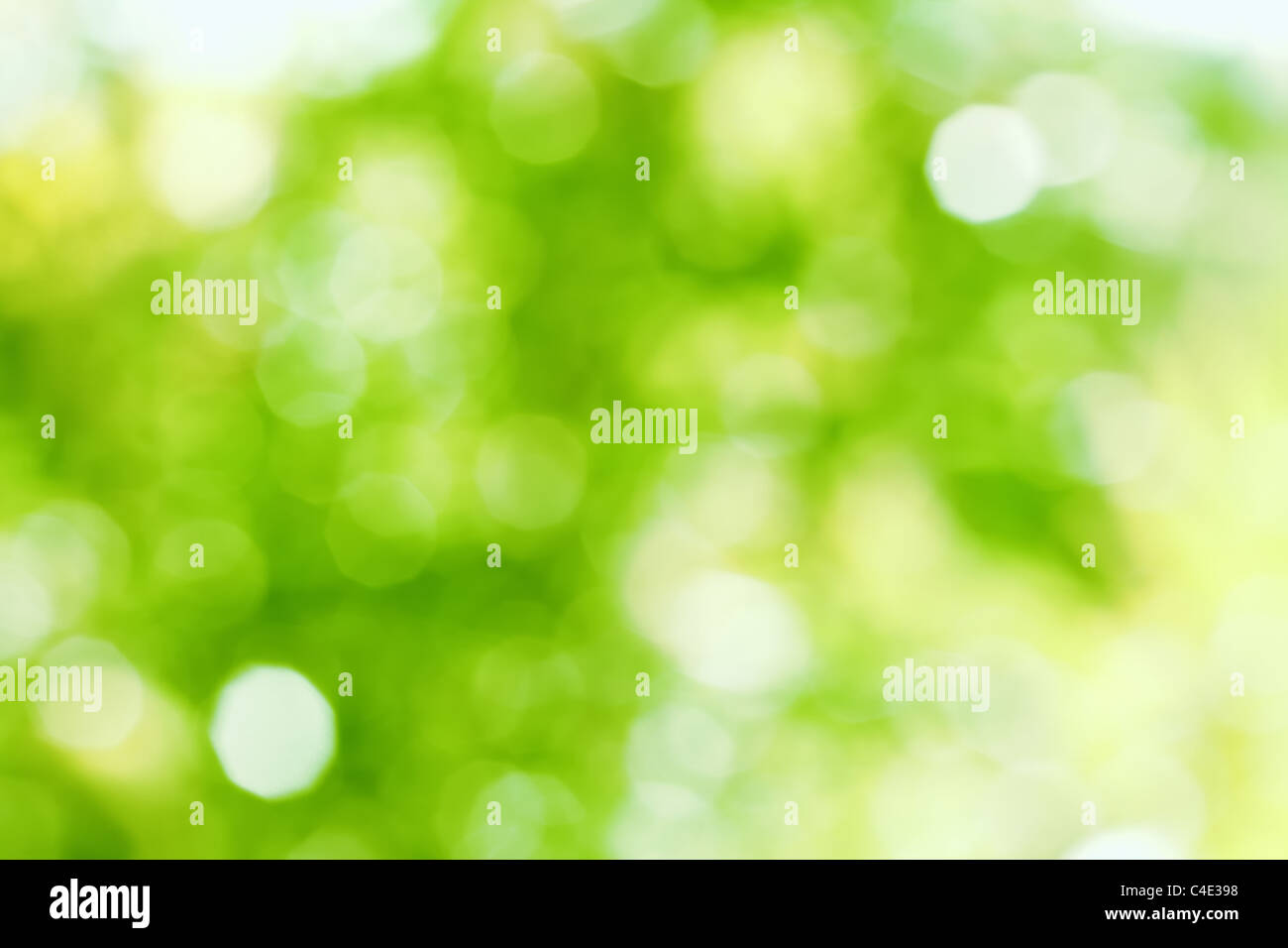 Grüne Bokeh abstrakt Licht aus der Natur. Stockfoto
