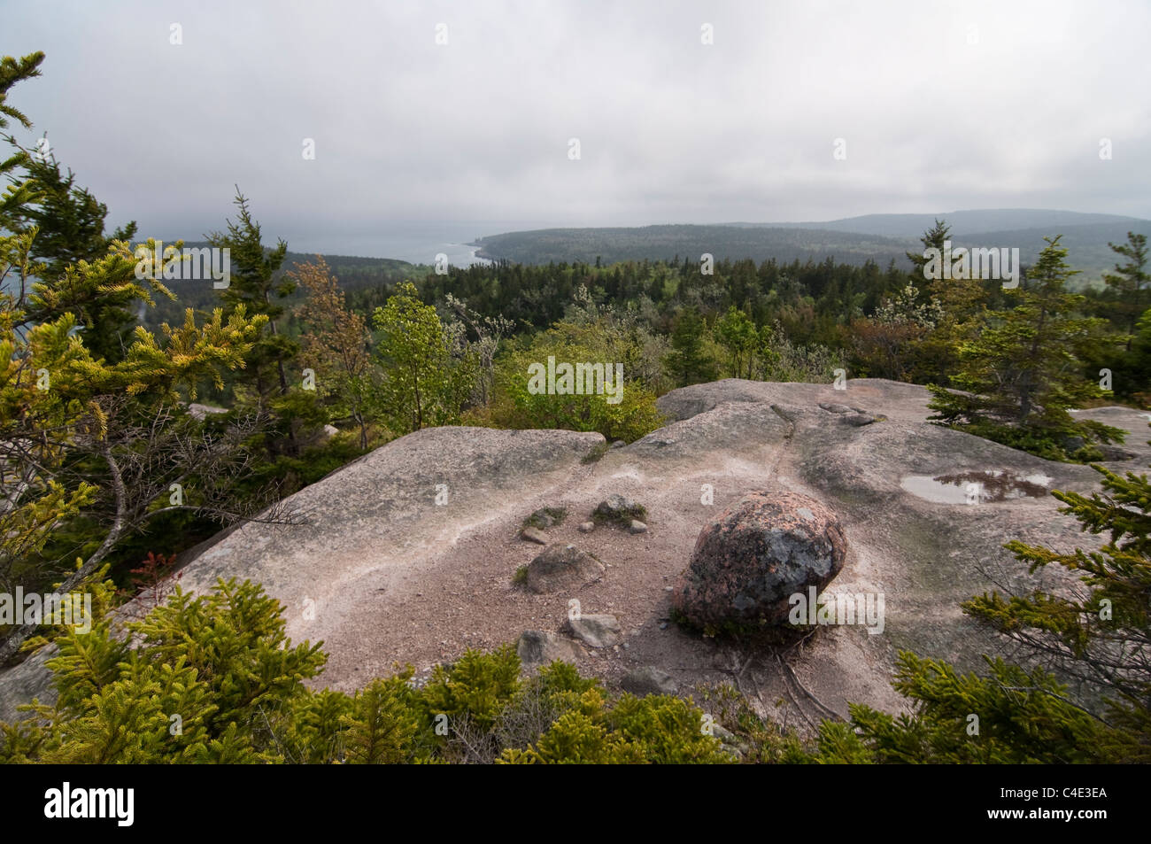 Ein Blick von der Gorham Bergweg im Acadia National Park in Mount Desert Island, Maine, USA. Stockfoto