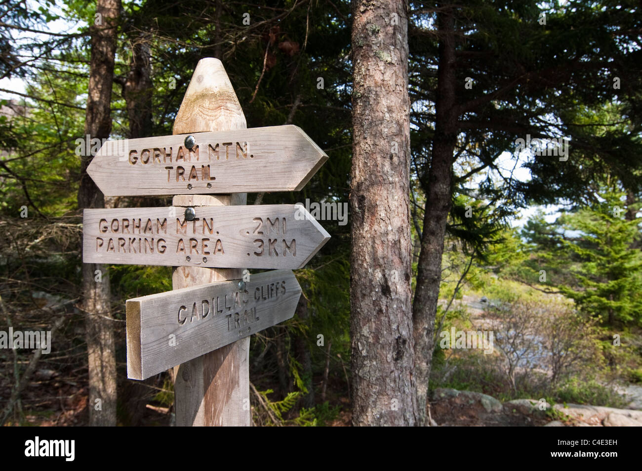 Eine Kreuzung entlang der Gorham Bergweg im Acadia National Park auf Mount Desert Island in Maine. Stockfoto