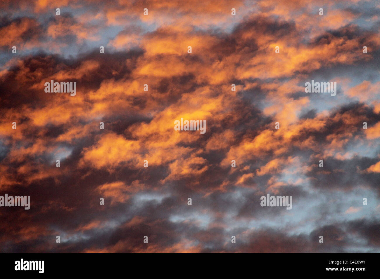 Goldenes Gelb bewölktem Himmel nach Regen Stockfoto