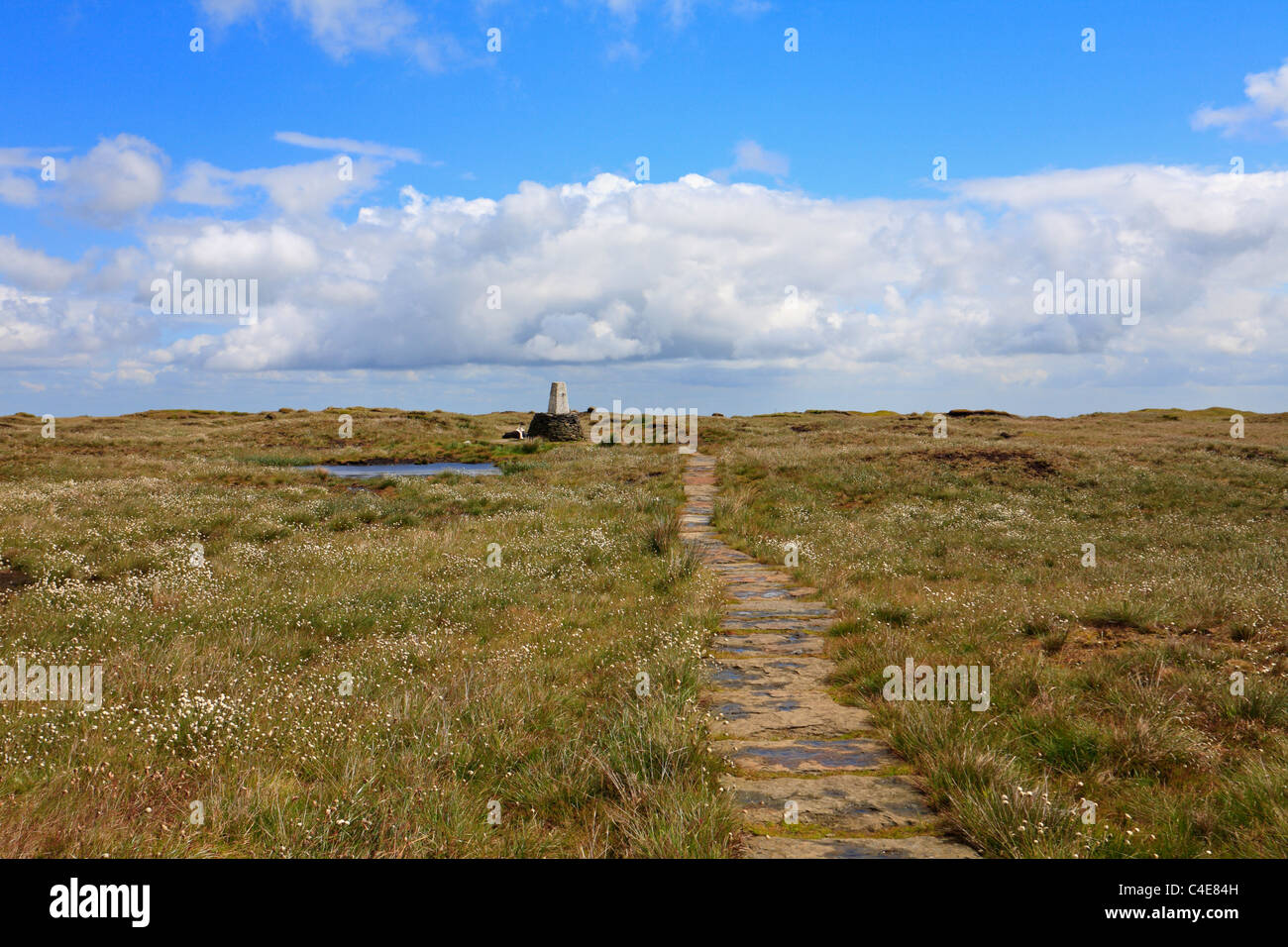 Der Pennine Way auf der Soldat Klumpen Black Hill Gipfel in der Nähe von Hereford, West Yorkshire und Grenze, Derbyshire Peak District National Park, England, UK. Stockfoto