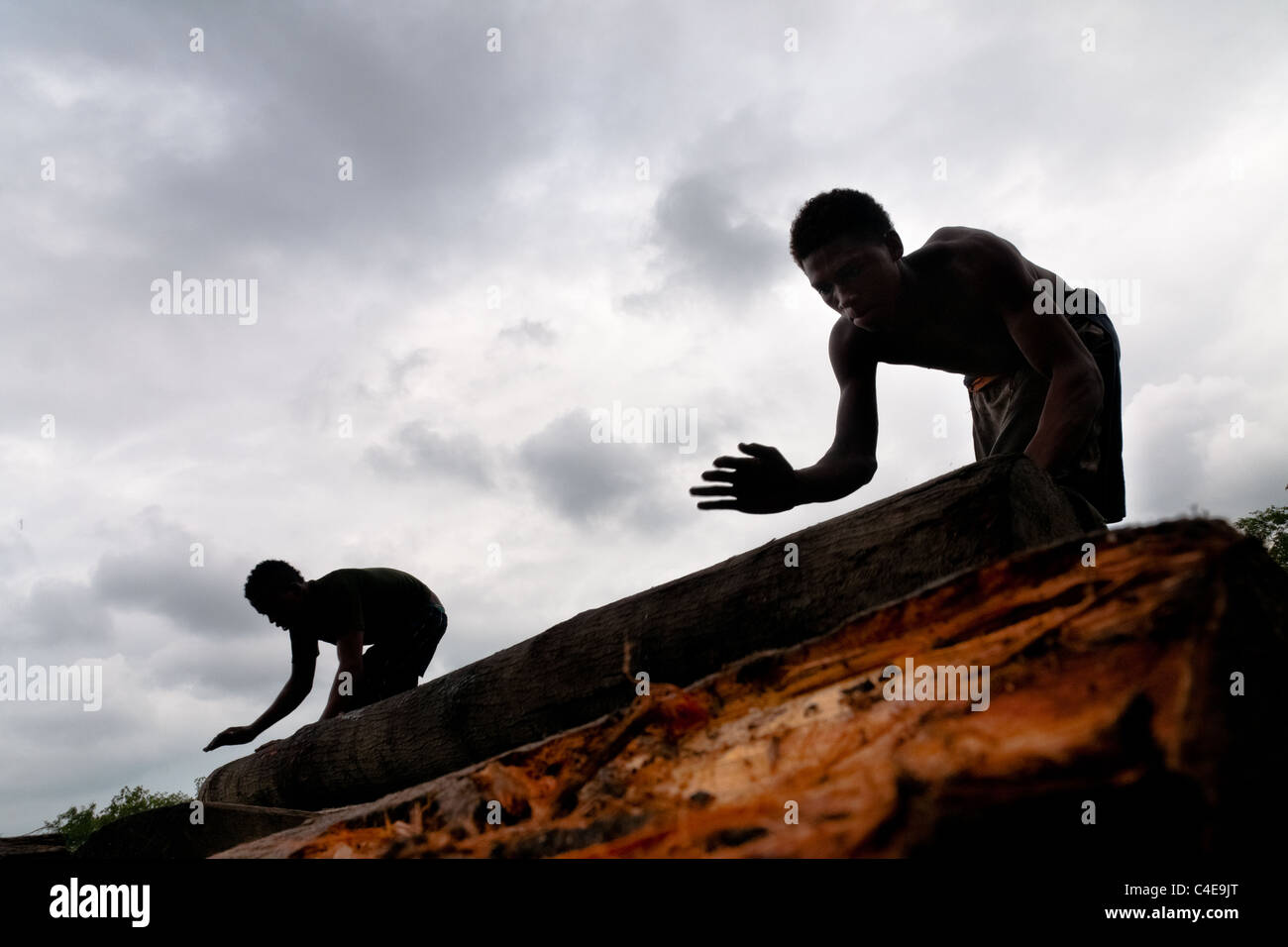 Kolumbianische Sägewerk Arbeiter Rollen ein Protokoll aus dem pazifischen Regenwald in Tumaco, Kolumbien. Stockfoto