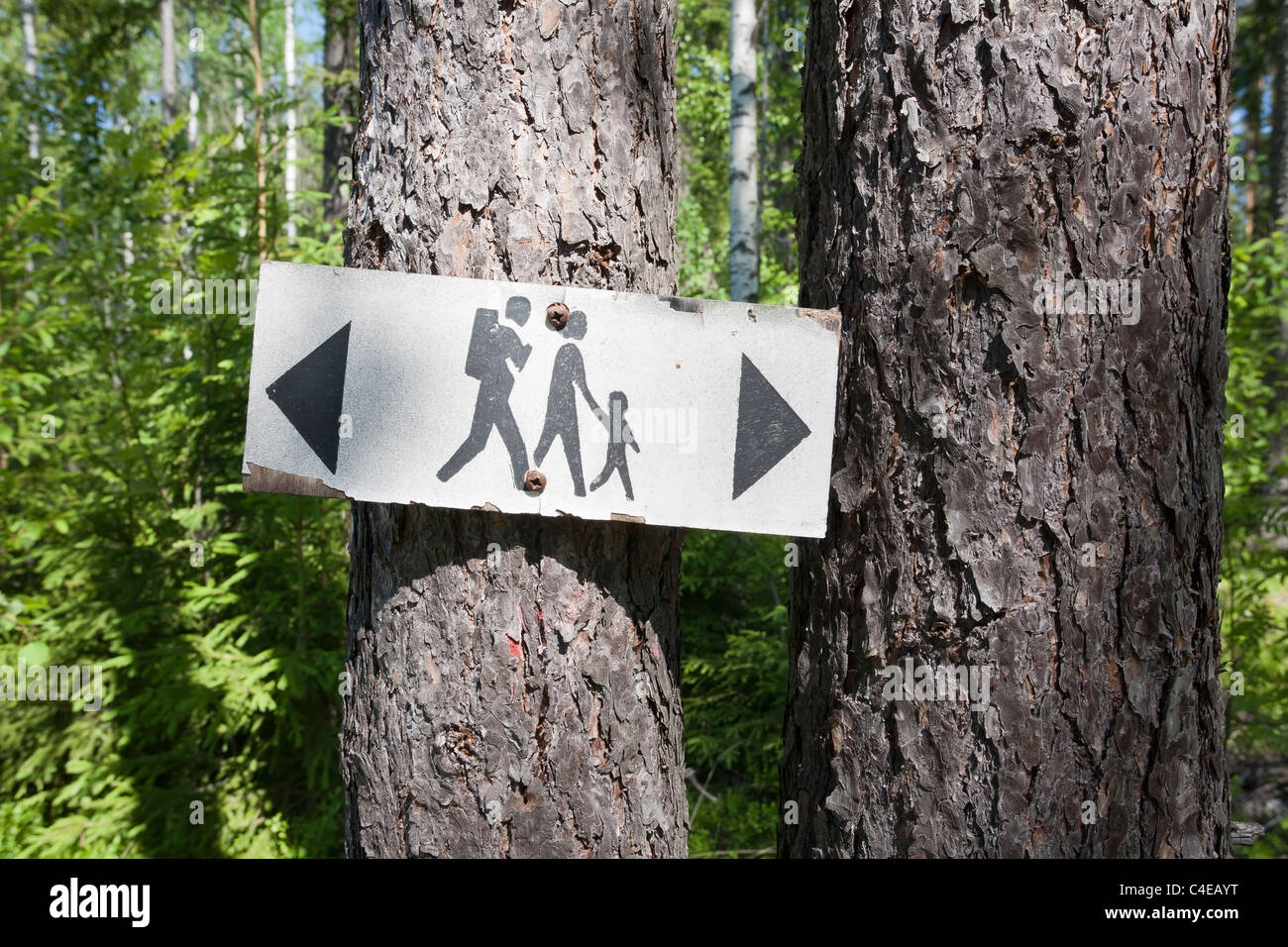 Alten Wandern route Zeichen, Finnland Stockfoto