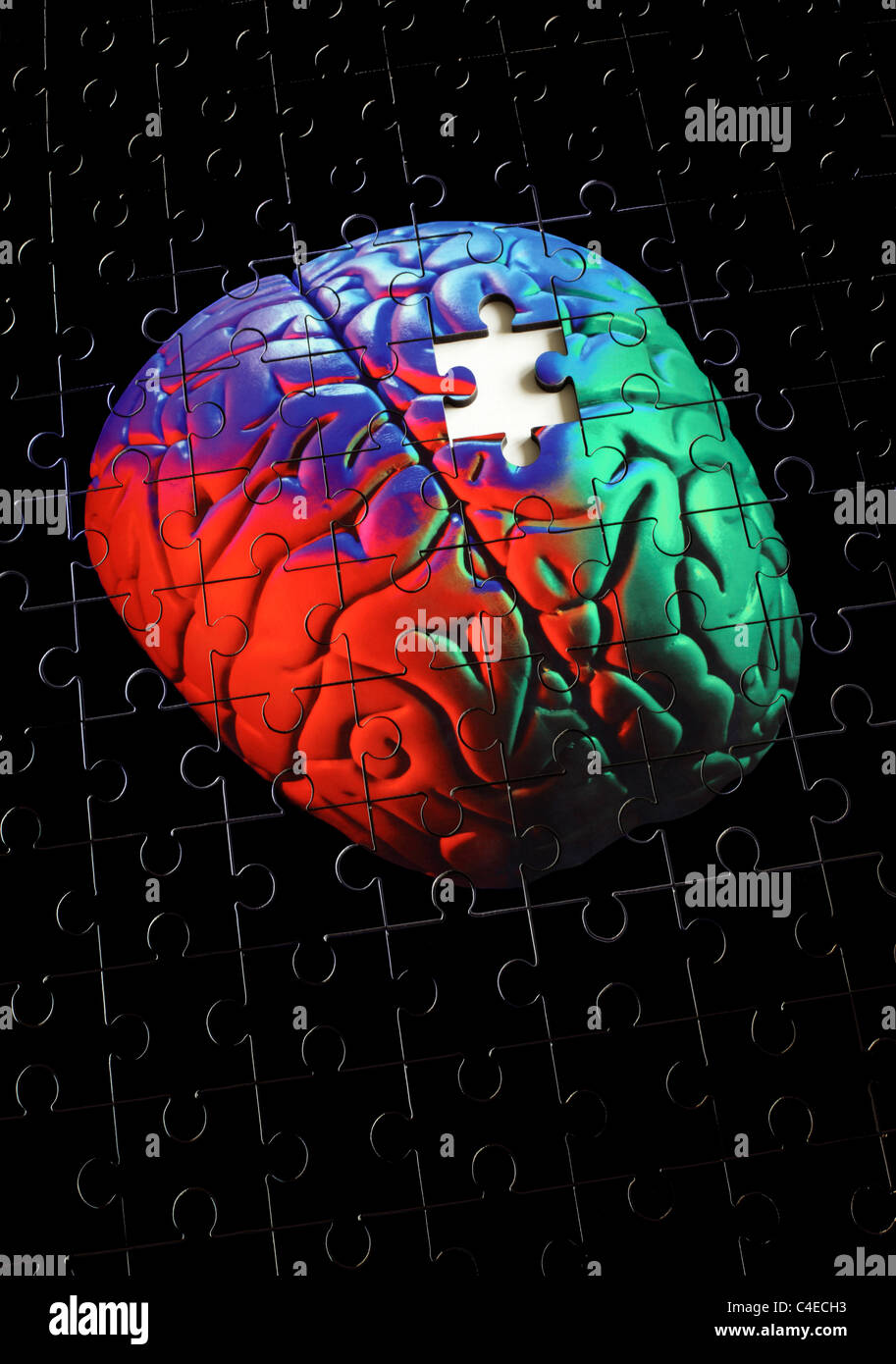 Foto ein Puzzle von einem Menschen (Modell) Gehirn, mit einer Stichsäge Puzzle Stück fehlt. Stockfoto