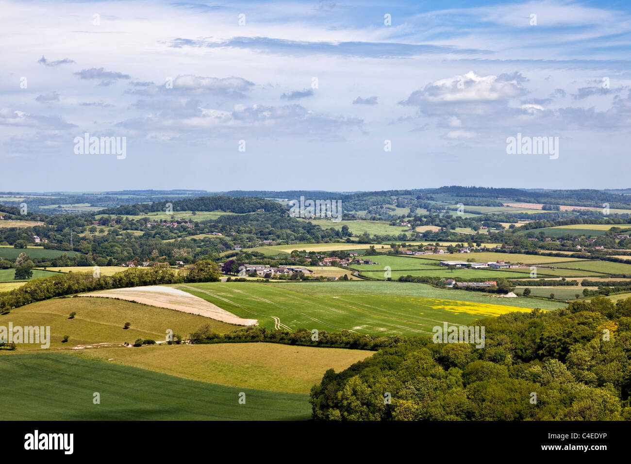 Blick über donhead Hohl in der wunderschönen englischen Landschaft von Dorset, England, Großbritannien Stockfoto
