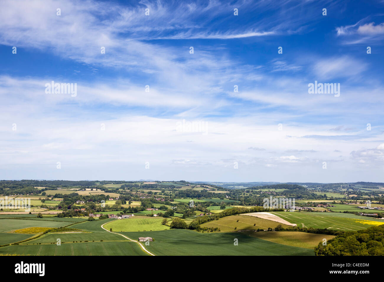 Landschaft Blick auf die Landschaft von Dorset an donhead Hohl, Dorset, England, Großbritannien Stockfoto