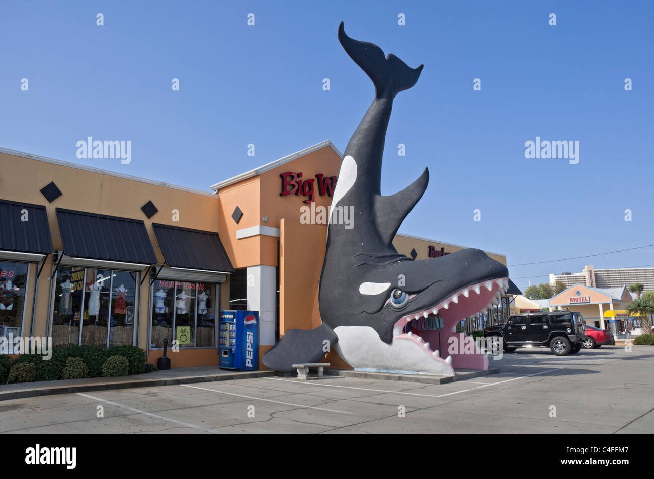Florida Panhandle Panama City Beach Souvenir- und Strand tragen Shop mit riesigen Killerwal bildet den Eingang. Stockfoto