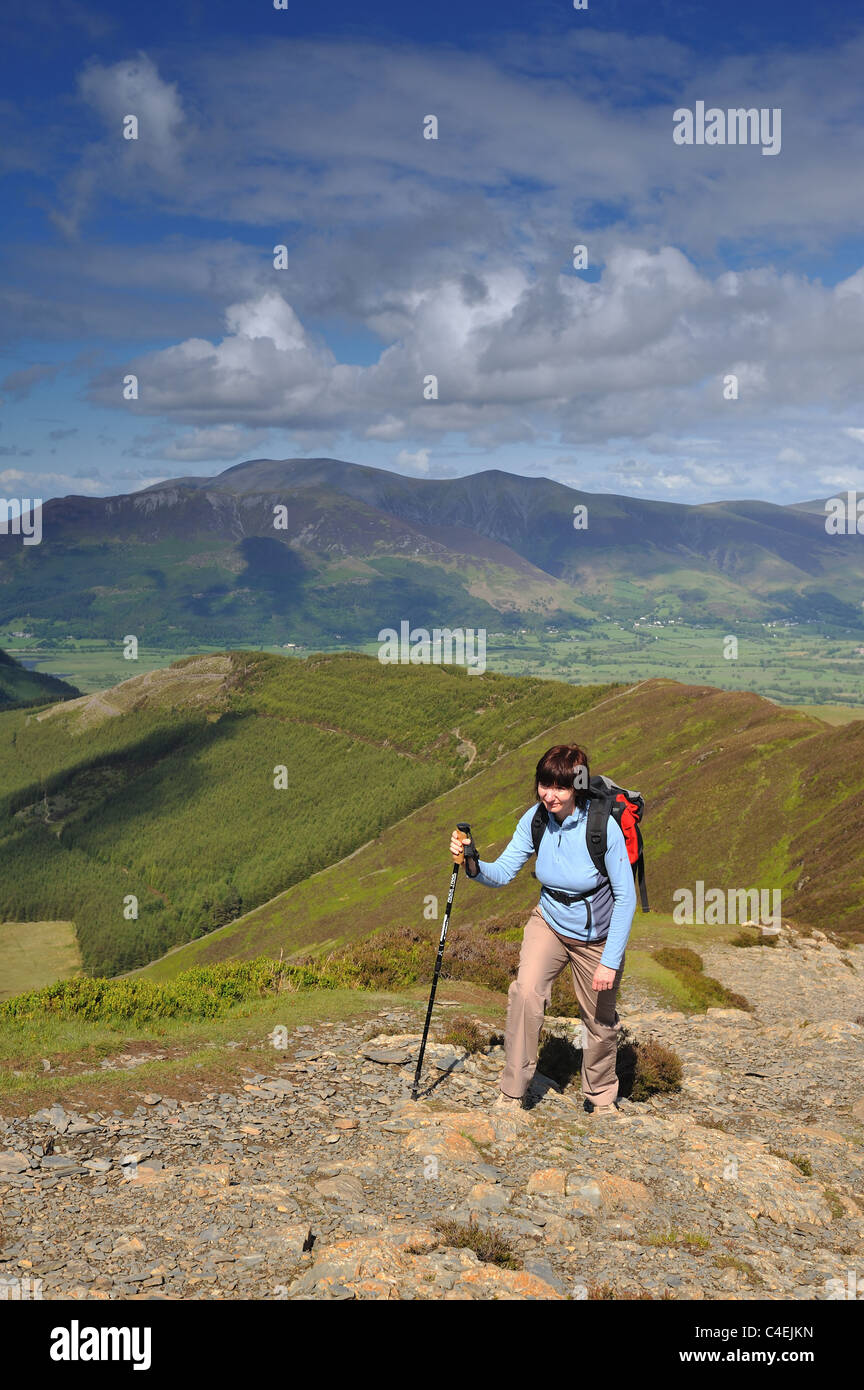 Walker aufsteigender Grisedale Pike im Lake District mit dem Skiddaw-Bereich im Hintergrund Stockfoto