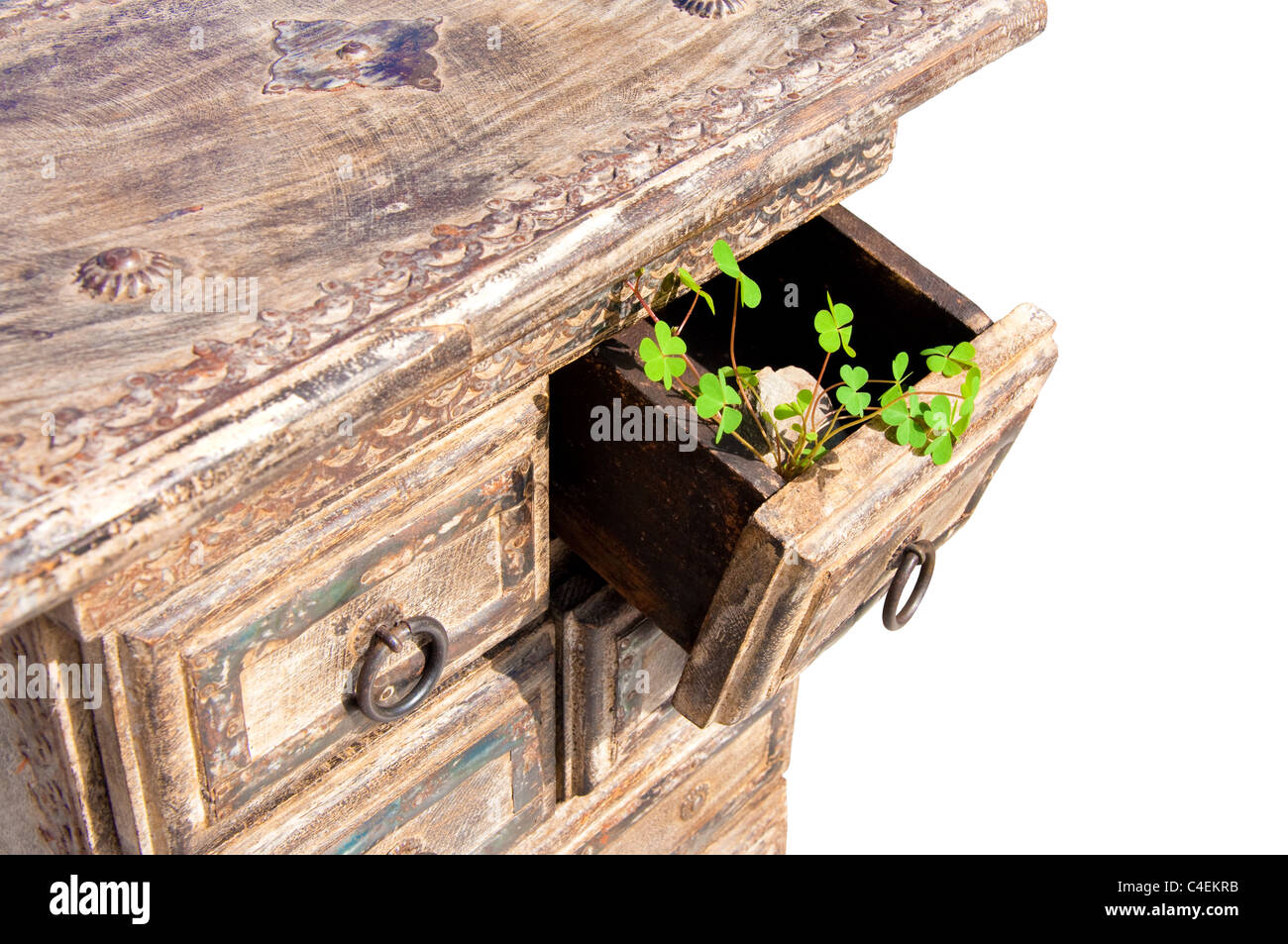 Retro-Schrank mit grünen Blättern Stockfoto