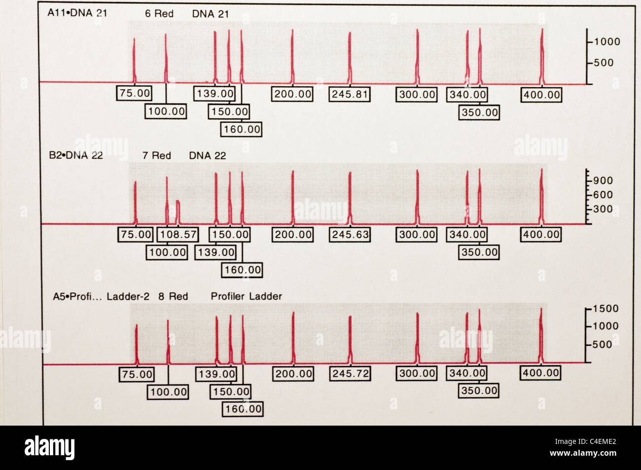 DNA-Analyse der forensische Proben mit einem Kapillar-Elektrophorese (CE)-Instrument. Stockfoto