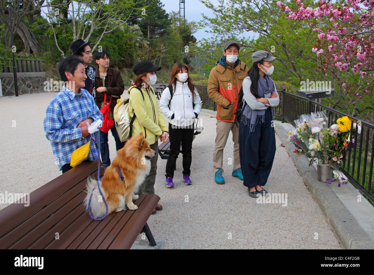 Menschen im Hiyoriyama Park auf der Suche nach unten vom Tsunami verwüsteten Stadt 11. März 20111 Stockfoto