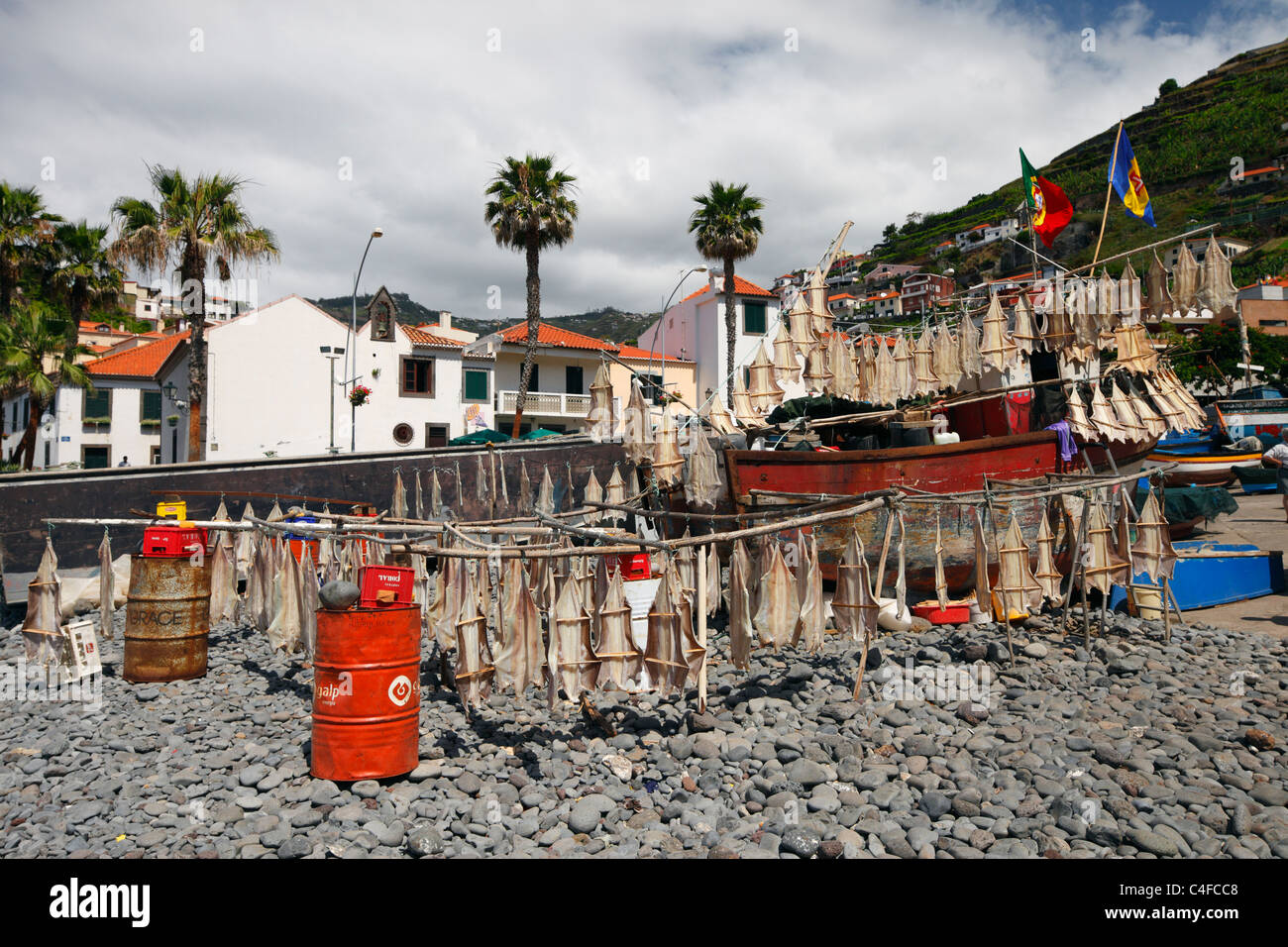 Trocknen Fische Szene, Camara de Lobos Hafen. Stockfoto