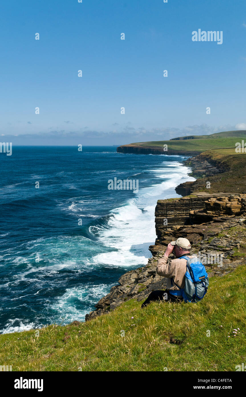 dh Scottish Seacliffs UK BIRSAY ORKNEY Birdwatcher Mann Fernglas Blick auf das Meer beobachten Sommer Vogelbeobachter beobachten Seevögel schottland Vögel Menschen Stockfoto