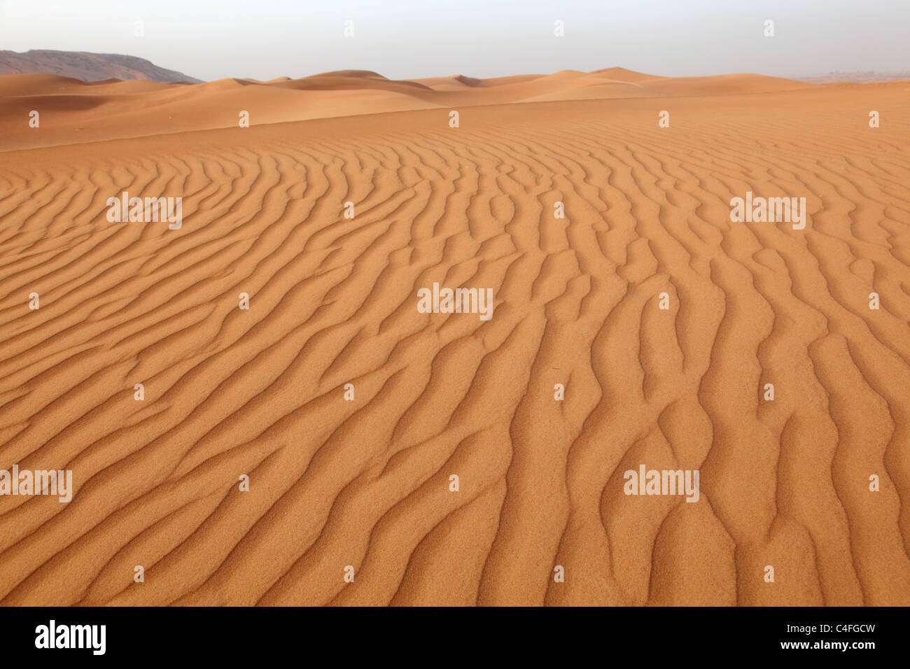 Wüste Dünen in der Nähe von Dubai, Vereinigte Arabische Emirate Stockfoto
