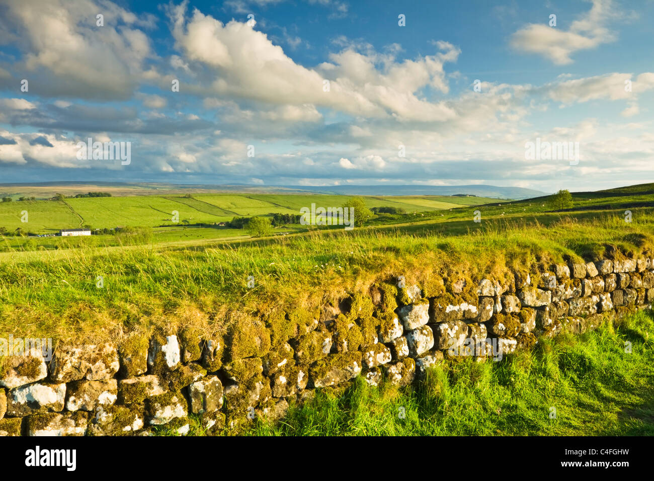 Der Hadrianswall bei Stahl-Rigg mit Blick auf zweimal gebraut in der Northumberland National Park, England Stockfoto