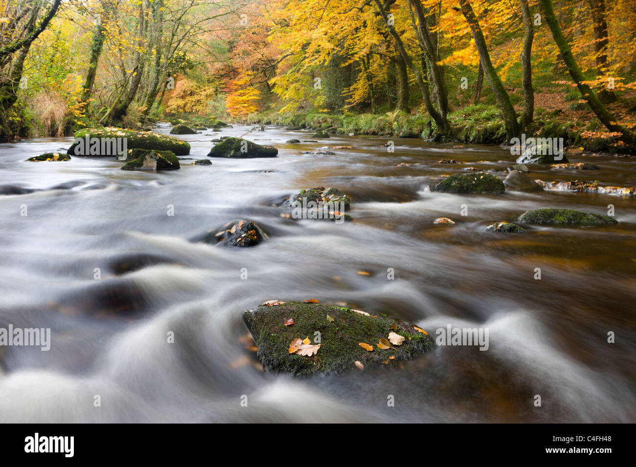 Die felsigen Fluß Teign Fingle Bridge im Dartmoor National Park, Devon, England. Herbst (November) 2010. Stockfoto