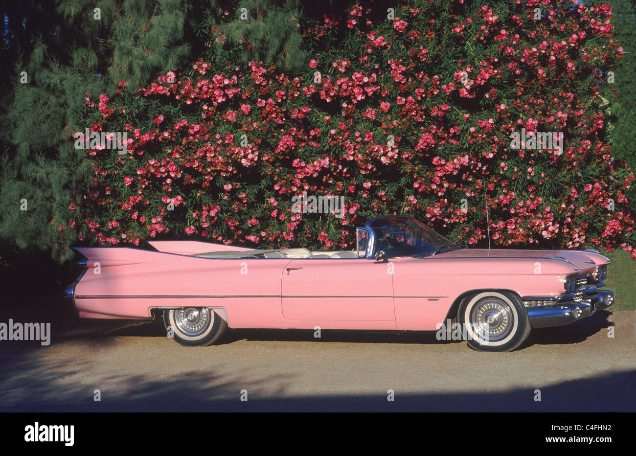 Cadillac pink Stockfoto