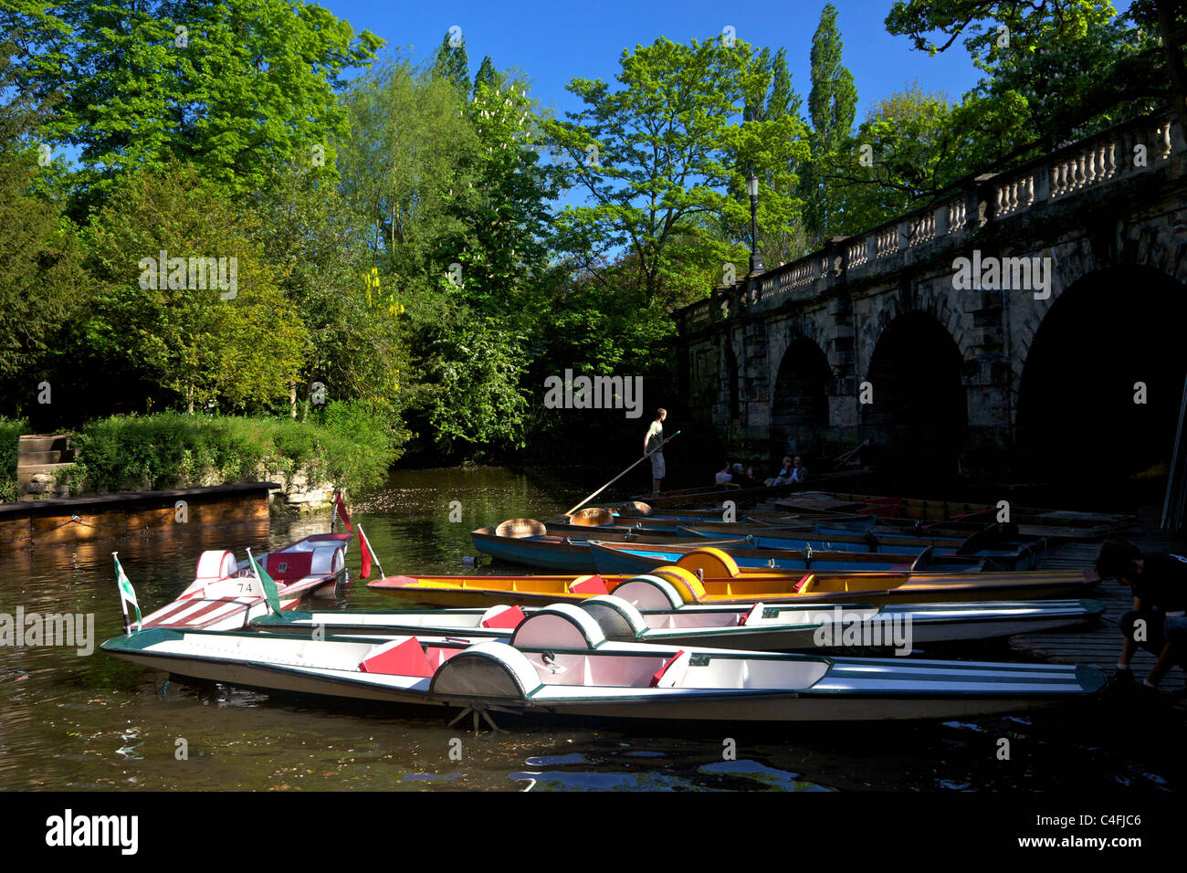 Stechkahn fahren unter Magdalen Brücke am Fluss Cherwell, Oxford, Oxfordshire, England, UK, Deutschland, GB, Großbritannien, Stockfoto
