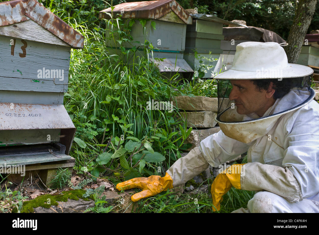 Bienenzucht in eine kleine Ausbeutung von einigen 20 Bienenstöcke, Anso, Huesca, Spanien, Europa. Stockfoto